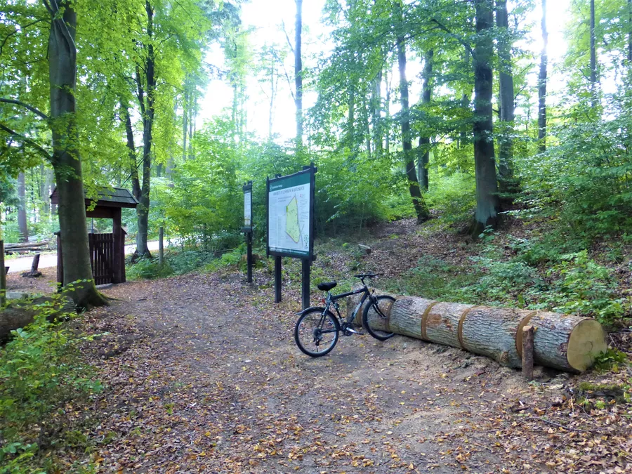 Arboretum Kartuskich Leśników